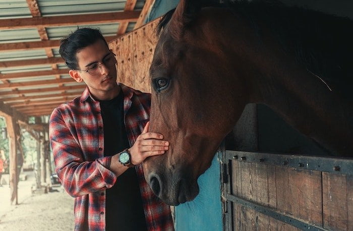 Man petting a horse during holistic therapy at a drug and alcohol rehab centre in Gloucestershire