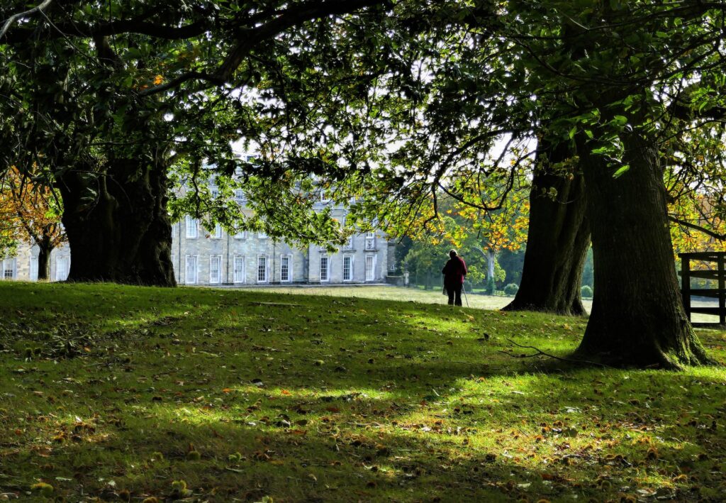 Park with a large house