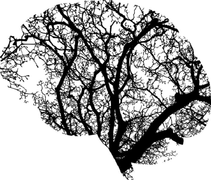 Tree brain cartoon