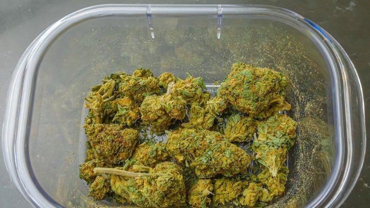 cannabis 10