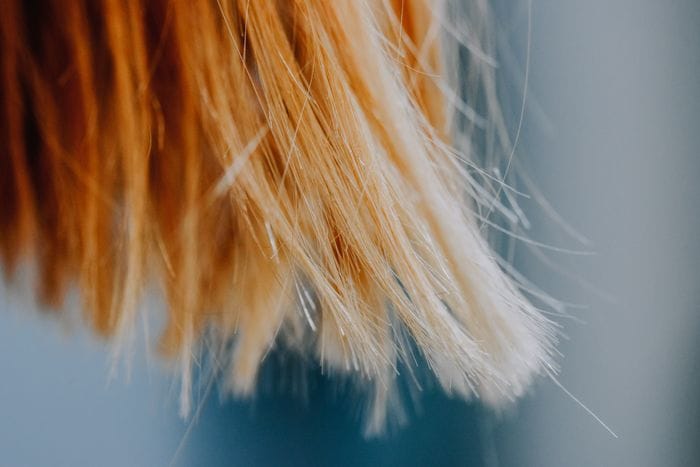 Hair